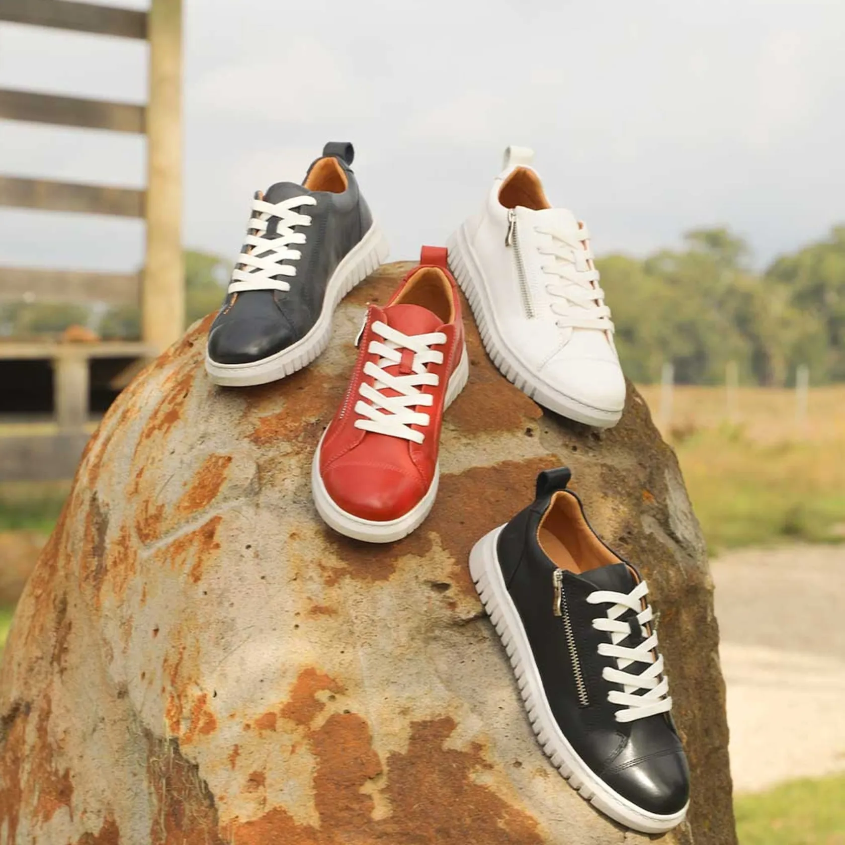 EOS Footwear Flat Sneakers>CLARENCE LOW-TOP ZIPPER SNEAKER LEATHER