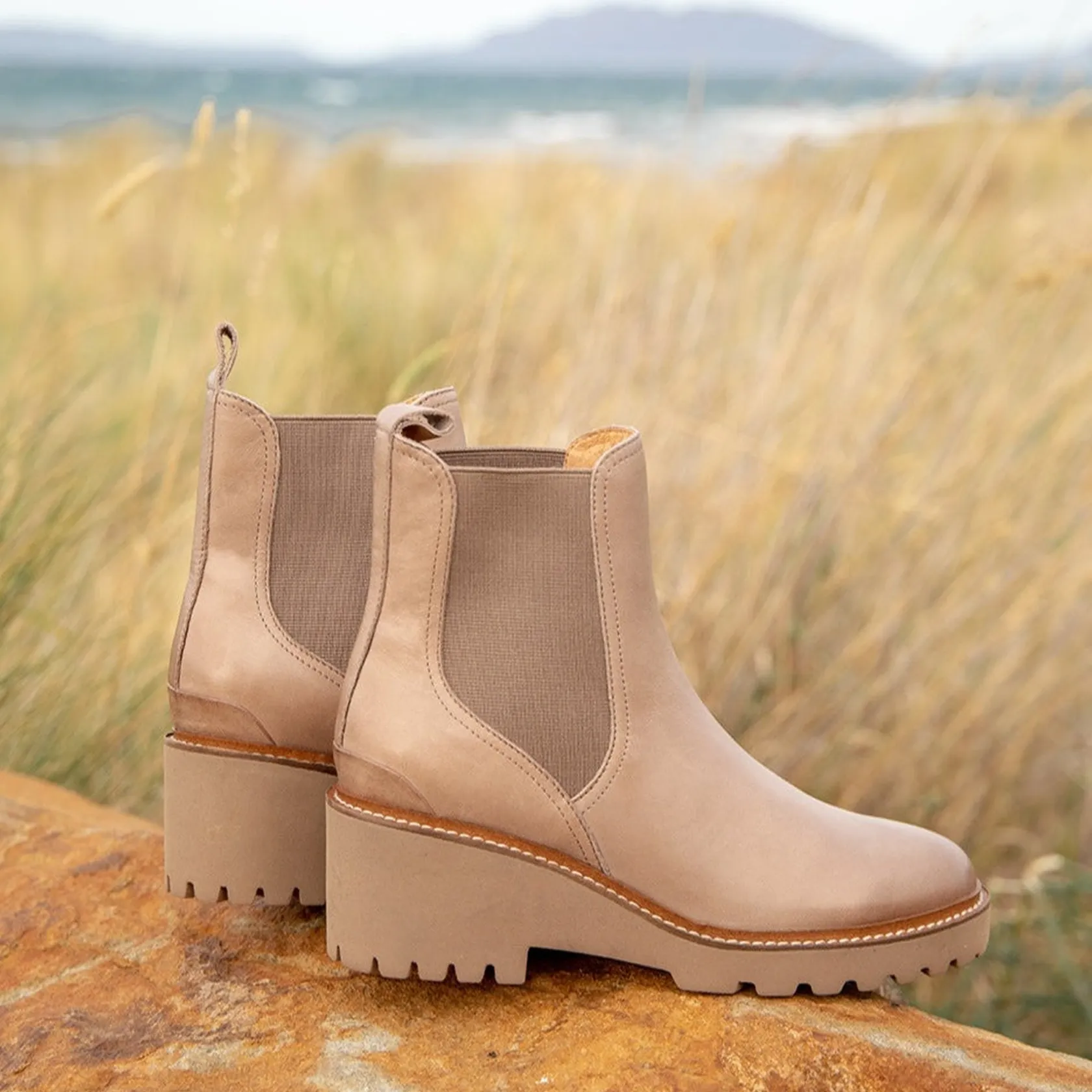 EOS Footwear Ankle Boots>PANNA