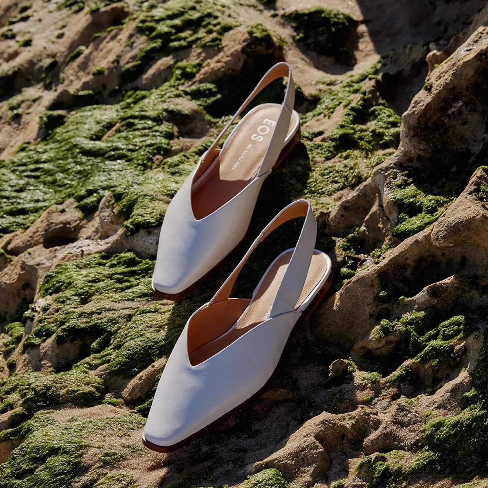 EOS Footwear Ballet Flats & Loafer>VINE